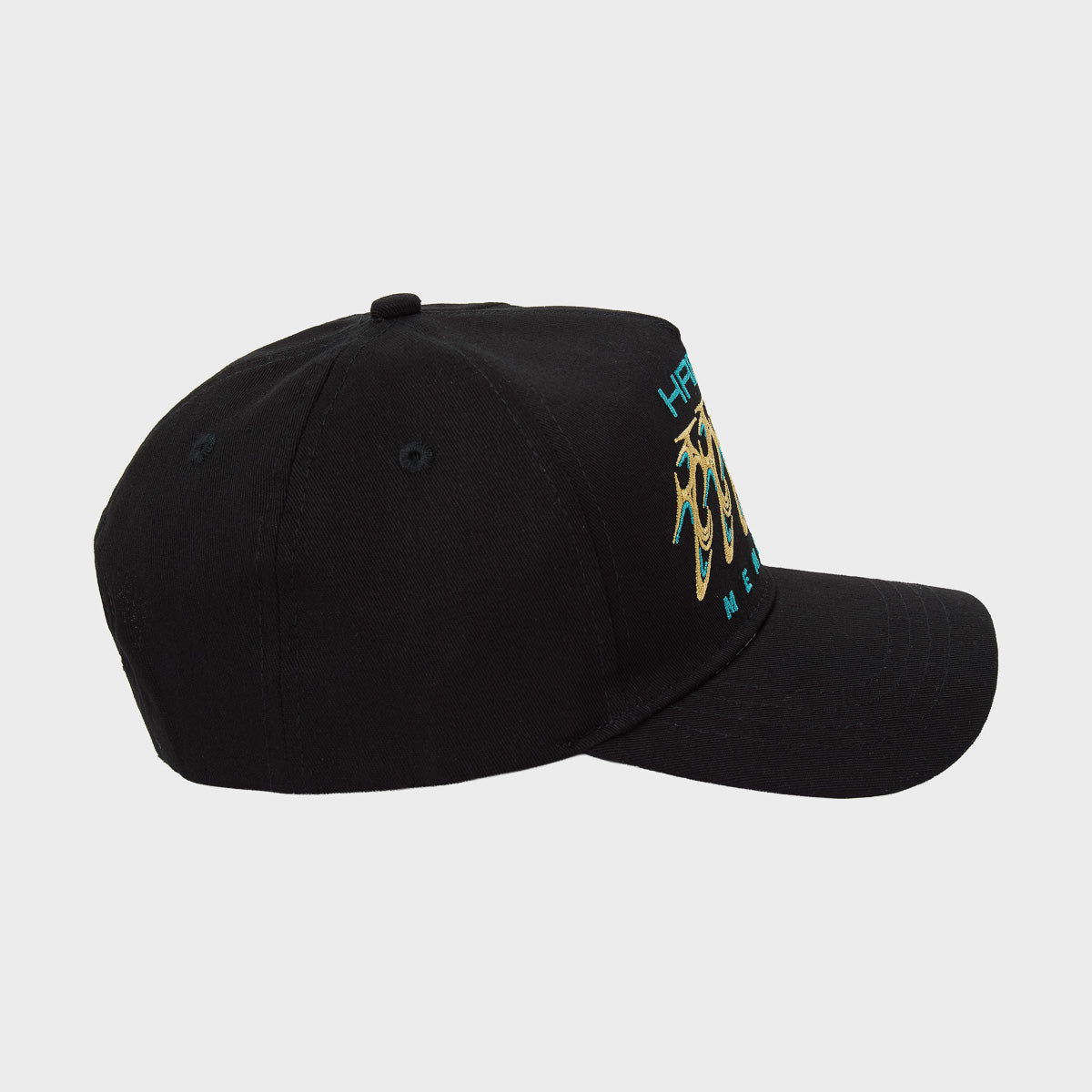FINANCE HAT
